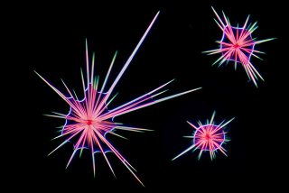 Illustration for article titled Science Photographer Reveals Beauty of the Microscopic World